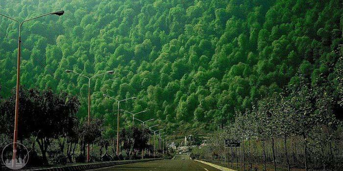  Chaloos Forests,iran tourism