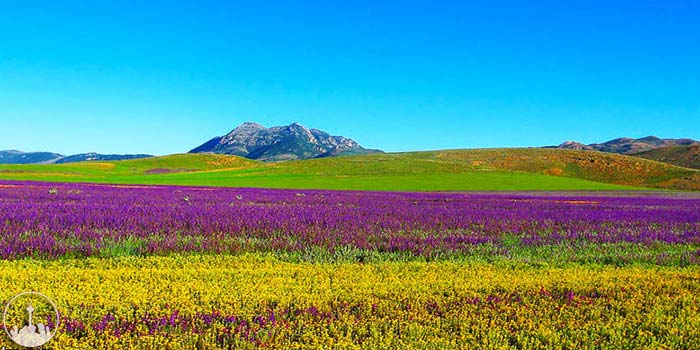Plains,iran tourism