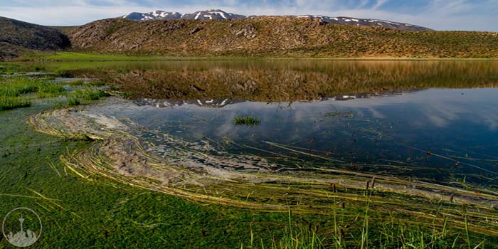  Kandochal Wetland,iran tourism