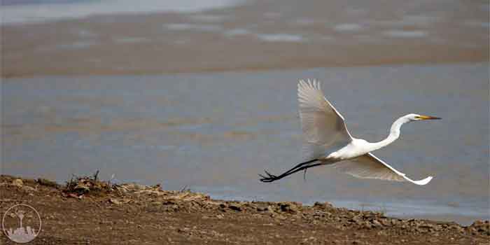  Barm Alvan Wetland,iran tourism