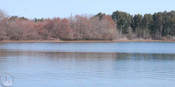  Lapoo Va Palangan Wetland,iran tourism
