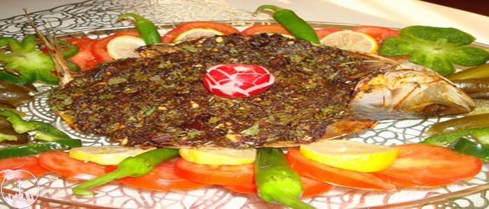 Local and Regional Foods,iran tourism