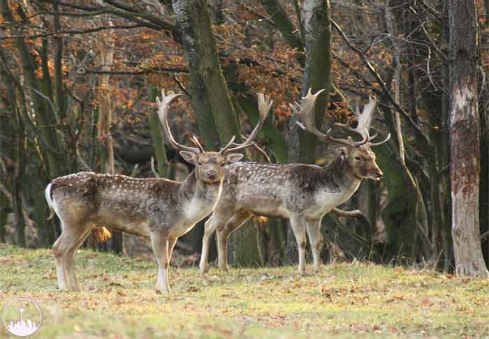  Jahan Nama Protected Zone,iran tourism