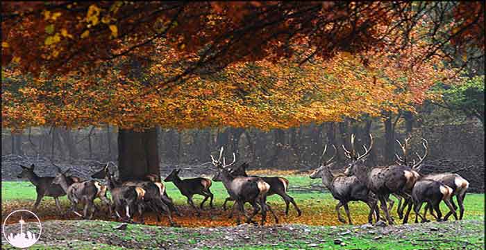  Golestan National Park,iran tourism
