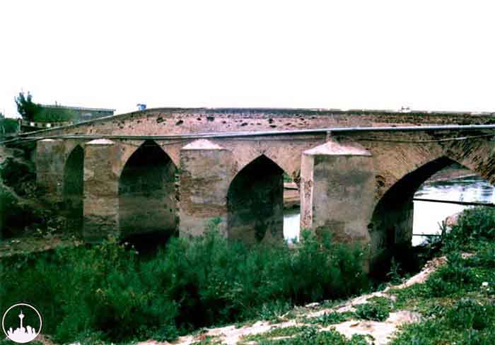  Aq Qala Wetland Complex,iran tourism