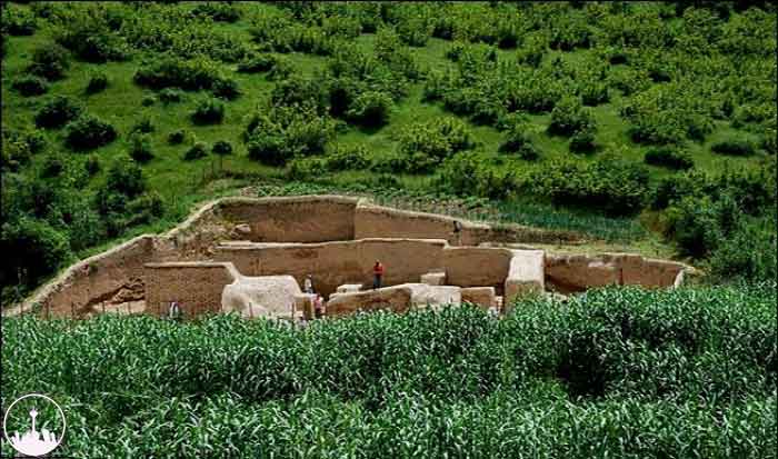  Gomishan Wetland,iran tourism